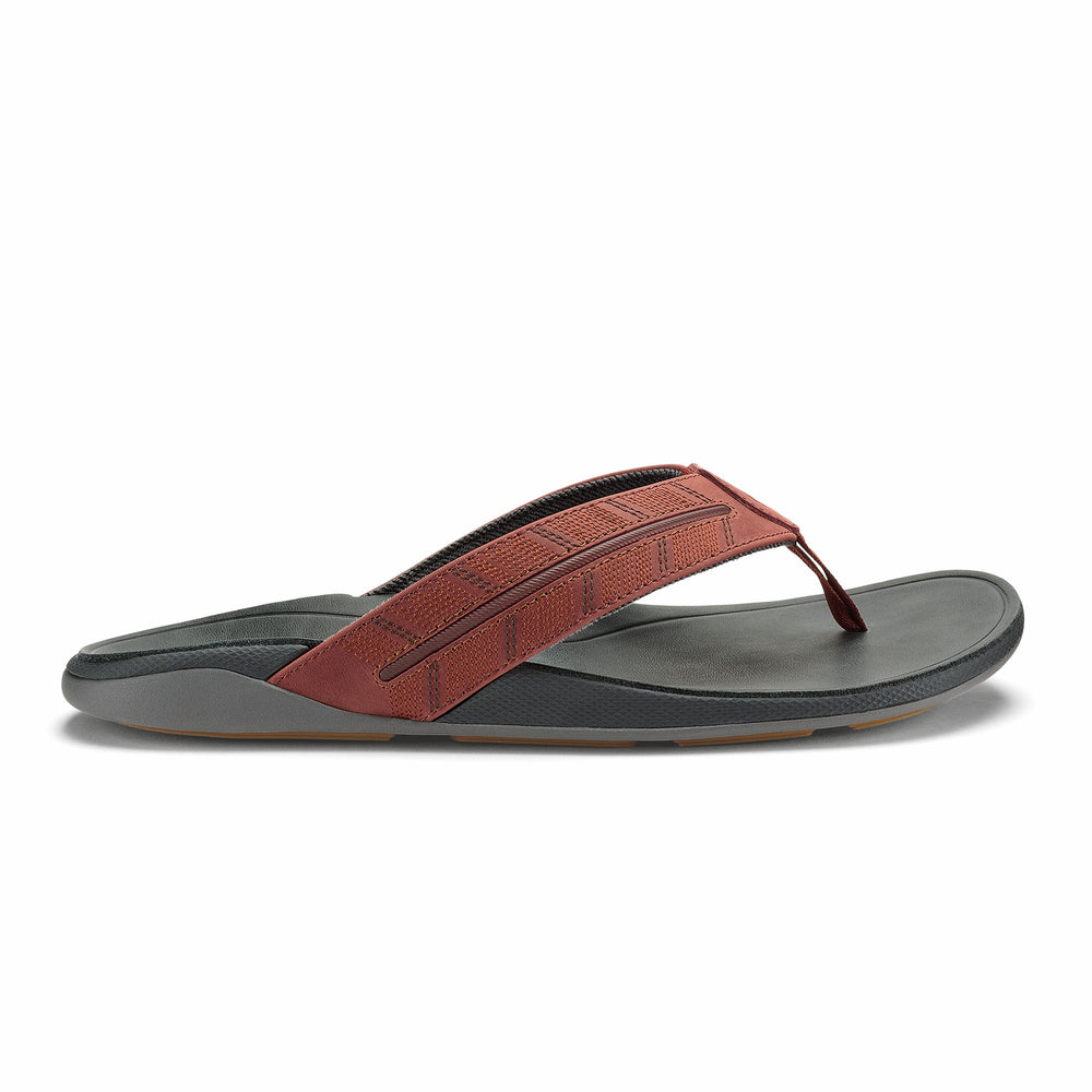 Tuahine Palm - Canoe / Rock