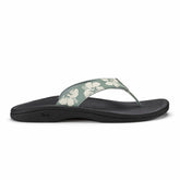 ‘Ohana - Silver Pine / Pua