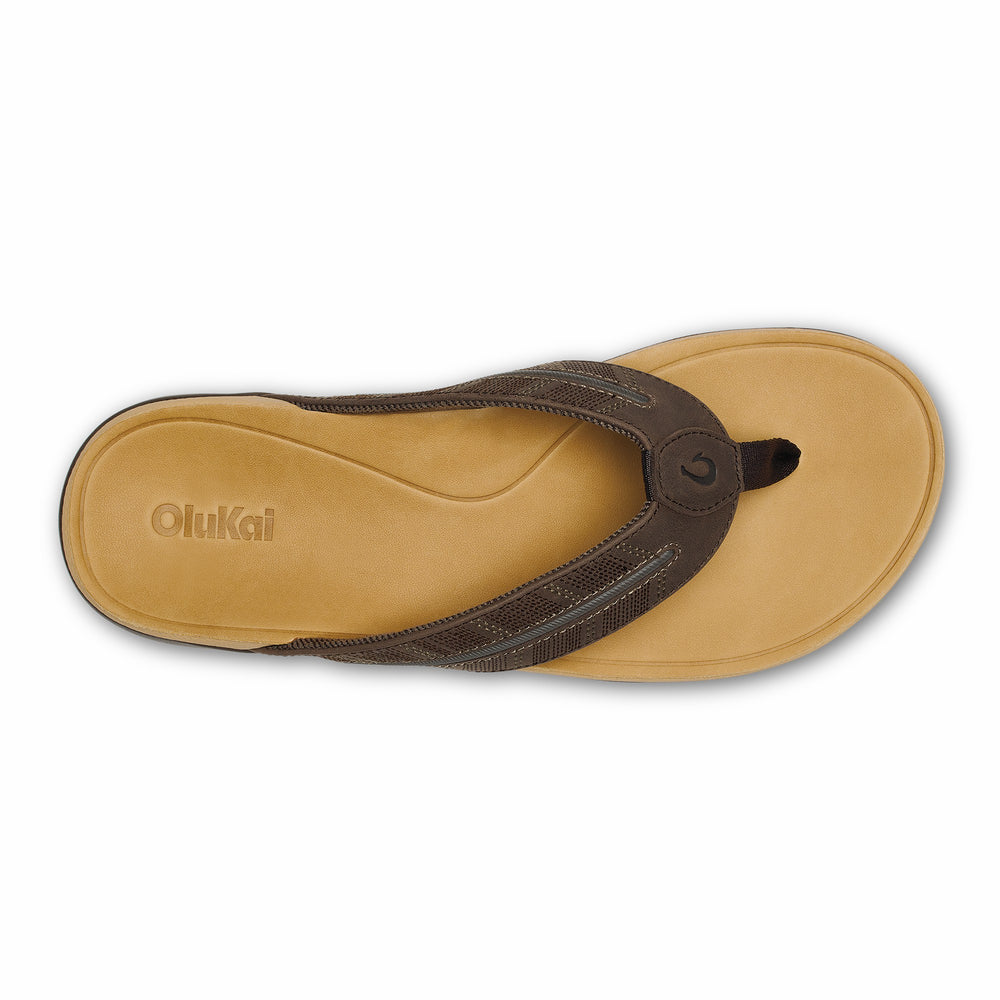 Tuahine Palm - Dk Java / Golden Sand
