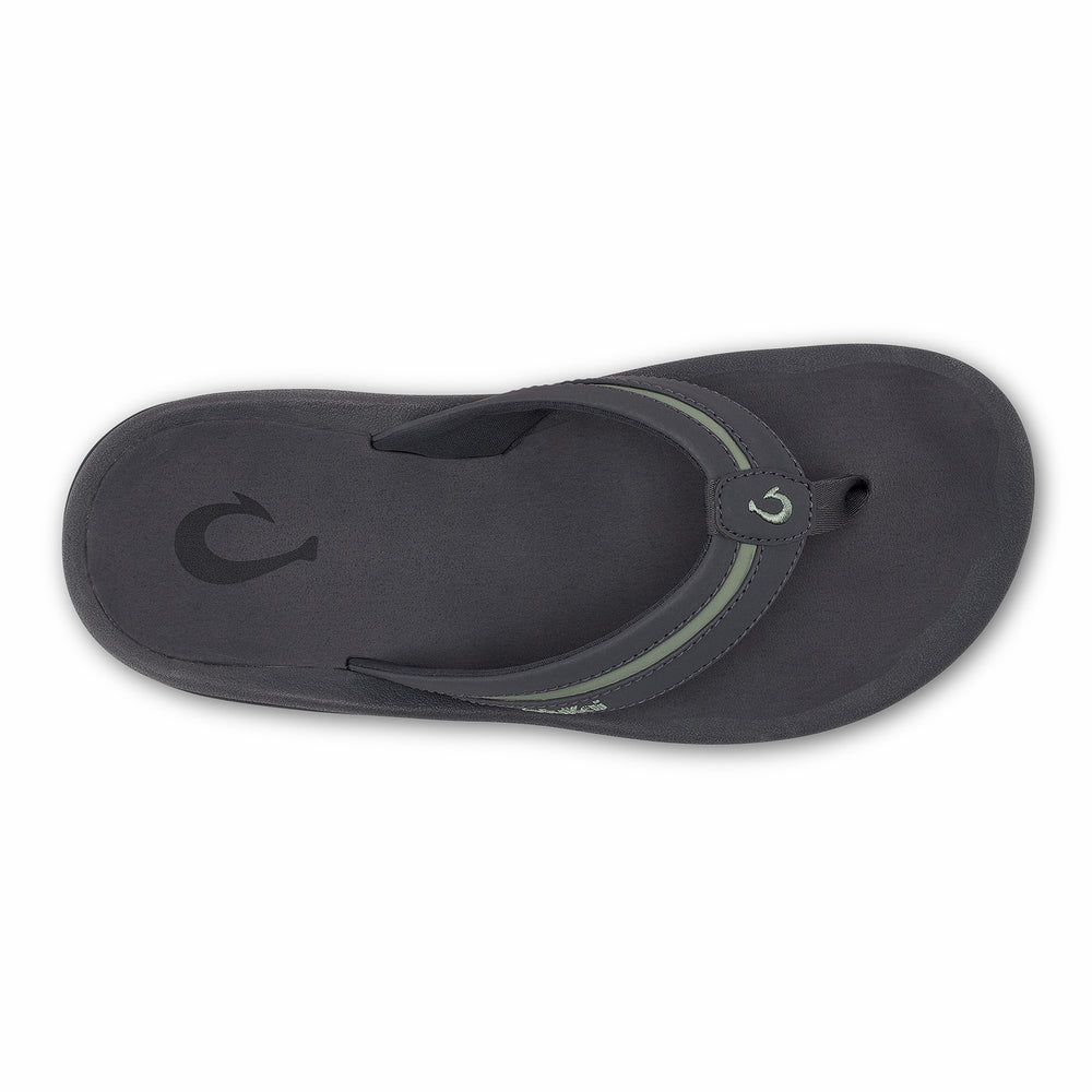 'Ohana Pālua - Tradewind Grey / Seagreen